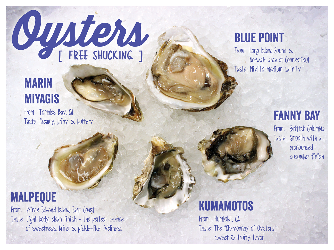 oyster bar and kitchen menu